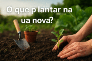 O que Plantar na Lua Nova?